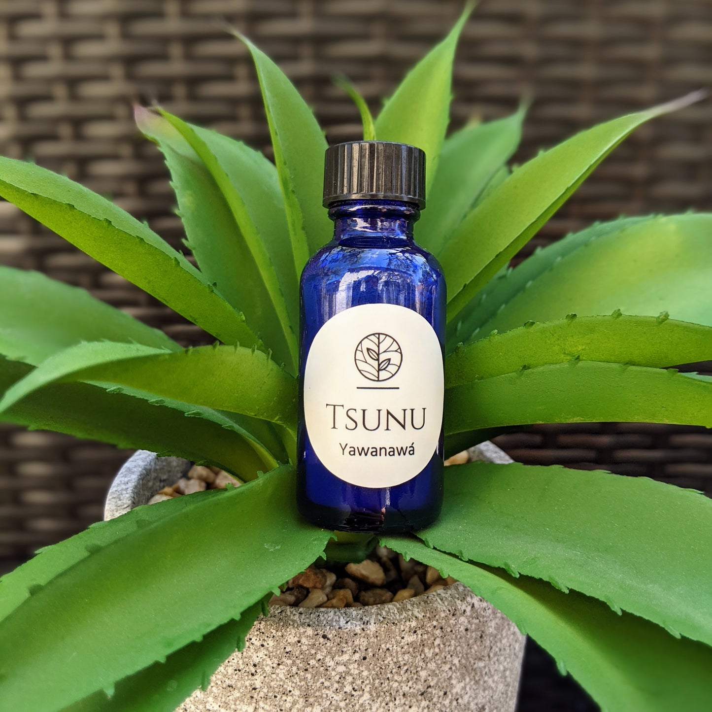 Hushahu Blend | Yawanawá Tsunu | ~ 20g | **Limited Supply**